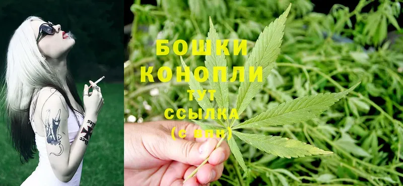 Канабис OG Kush  Барабинск 